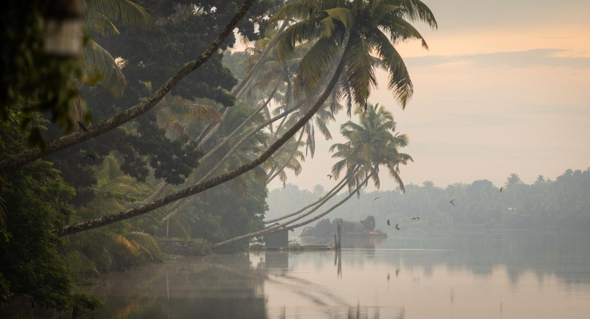 Cranganor History Cafe & Riverside Chateau North Paravur المظهر الخارجي الصورة